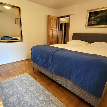 Apartman Brscic